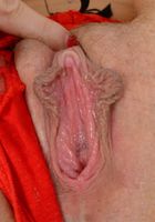 ATK Premium: Nickey Huntsman (Nickey Huntsman Leather Dress Pussy spreads)