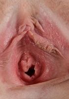 ATK Galleria: Nikki White (Nikki White in lingerie)