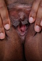 Nova Star from ATK Exotics