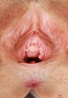 ATK Galleria: Nova Vixen (Nova Vixen Hot Stripping)