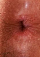 ATK Petites: Ophelia Purr (Ophelia Purr is looking good in leopard print)