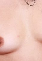 ATK Exotics: Ophelia Purr (Ophelia Purr in pink and a smile)