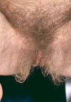 ATK Archives: Paulina (Paulina in amateur)