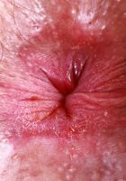 Pearl Sage from ATK Natural & Hairy