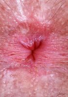 ATK Natural & Hairy: Pearl Sage (Pearl Sage in a tight red body suit)