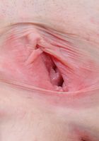 ATK Archives: Porsche (Porsche in coeds)