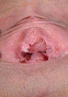 ATK Exotics: Raven Redmond (Raven Redmond in latinas)