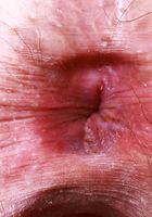 ATK Natural & Hairy: Riley Rose (Riley Rose gets down and dirty)