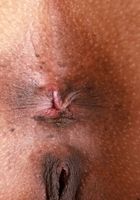 Rue from ATK Exotics