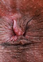 Rue from ATK Exotics