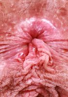 ATK Natural & Hairy: Sahara Skye (Sahara Skye Wide Hairy Pussy and Ass Spreading)