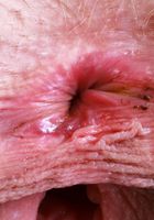 Sahara Skye from ATK Natural & Hairy