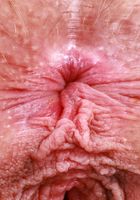 ATK Natural & Hairy: Sahara Skye (Sahara Skye Strips Off Her Fishnets and Spreads Her Ass)