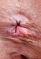 ATK Petites: Salee Lee (It's all pink for Salee Lee)