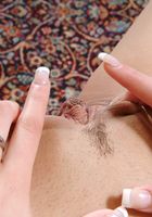 ATK Exotics: Sandy (Sandy in asians)