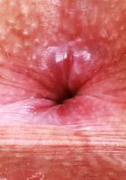 ATK Petites: Selina Imai (Try not to stare at Selina Imai)