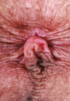 ATK Petites: Serena Hill (Serena Hill hopes you like what you see)