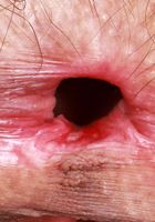 ATK Petites: Sia Wood (Sia Wood is just your average country gal)