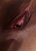 Sofia Moon in latinas, Sofia Moon (sof035) ATK Exotics: Sofia Moon (Sofia Moon in latinas)