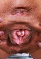 ATK Exotics: Sona Bella (Sona Bella Short Skirt and Panties)