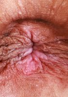 ATK Exotics: Sona Bella (Sona Bella is looking sassy and confident)