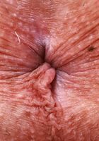 ATK Galleria: Summer Renee (Summer Renee has the sexy goods)