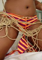 Sunshine in island girls, Sunshine (sun016) ATK Exotics: Sunshine (Sunshine in island girls)