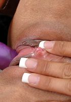 ATK Exotics: Takota (Takota in toys)