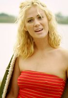 ATK Premium: Taylor (Taylor in artistic)