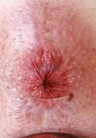 ATK Galleria: Tess Thompson (Tess Thompson Panty Spreads)