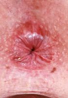 ATK Galleria: Tess Thompson (Tess Thompson is sleek and sexual in red)