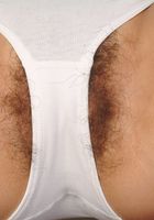 ATK Exotics: Tiffany (Tiffany in asians)