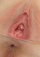 Tigger from ATK Archives